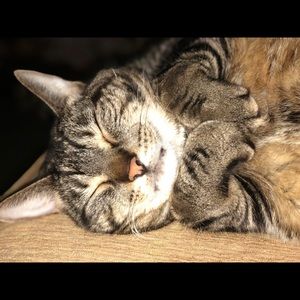 Meet your Posher, Jodi